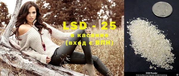 PSILOCYBIN Богородицк
