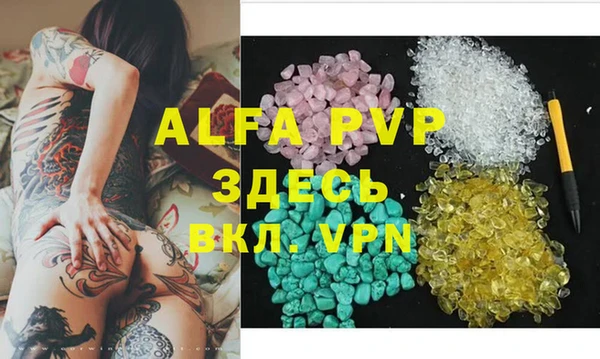 амф Богданович
