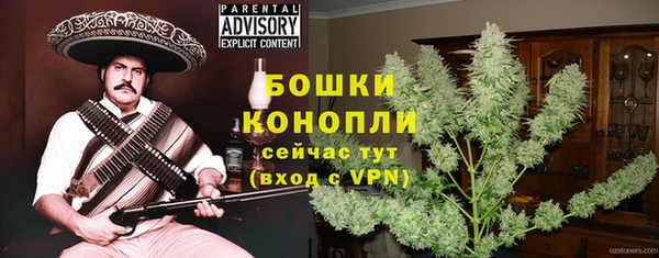 ПСИЛОЦИБИНОВЫЕ ГРИБЫ Богородск