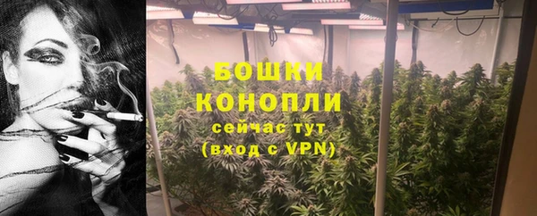 амф Богданович
