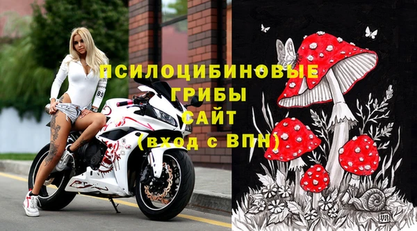 PSILOCYBIN Богородицк