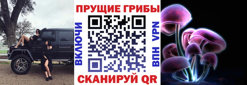 Купить где  Лаишево  Галлюциногенные грибы Magic Shrooms 